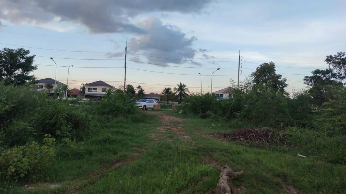 ขายที่ดินอุดรธานี 26 ไร่ ไกล้สนามบิน 2