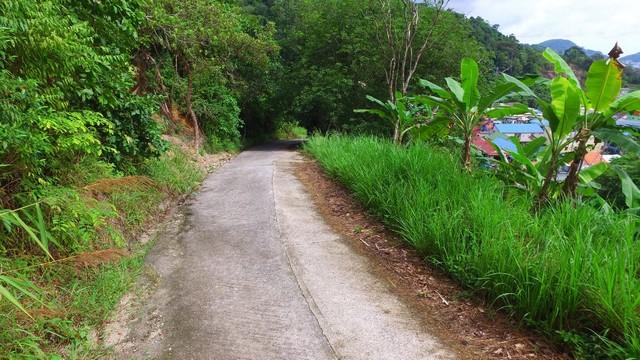 ขายที่ดินที่ภูเก็ต อยู่เกาะภูเก็ตเลย ตำบลป่าตองเหมาะทำบ้านพักตากอากาศ หรือ รีสอร์ทเล็กๆ วิวทะเล เห็นหาดป่าตอง 6