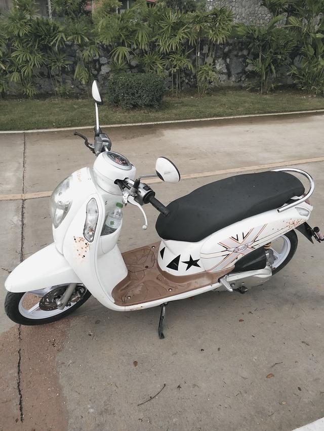 ขาย Scoopy i ปี 2014 รุ่น Club12 ลายสวย สภาพนางฟ้า เจ้าของดูแลดี!(ขาย) Honda Scoopy i 2014 รถบ้านแท้ เค
