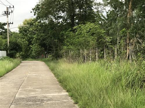 ที่ดิน ราคาไม่เเพลง นครนายก-สระบุรี 2