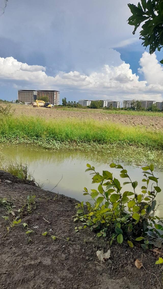 land for sale ขายที่ดินสวยมาก กำแพงแสน แบ่งขายได้ โฉนดพร้อมโอน 200 ตรว แบ่งขายได้ 9