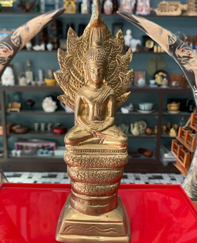 พระนาคปรก เนื้อทองเหลือง 8