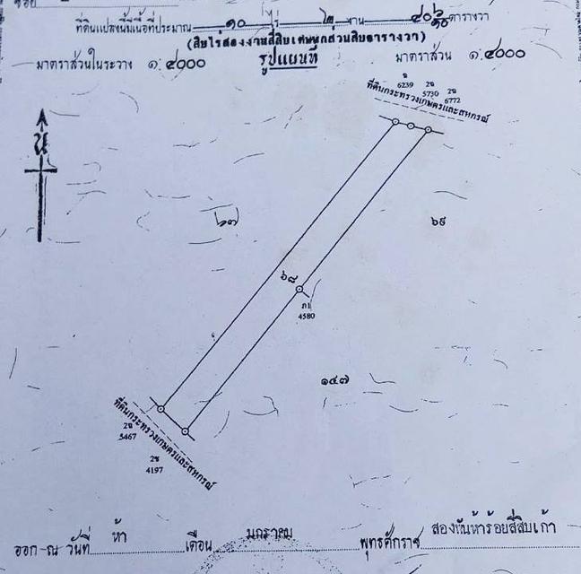 ขายที่ดิน 10 ไร่ครึ่ง ต.บ้านดอน อ.อู่ทอง สุพรรณบุรี ขายเหมา 3 ล้าน