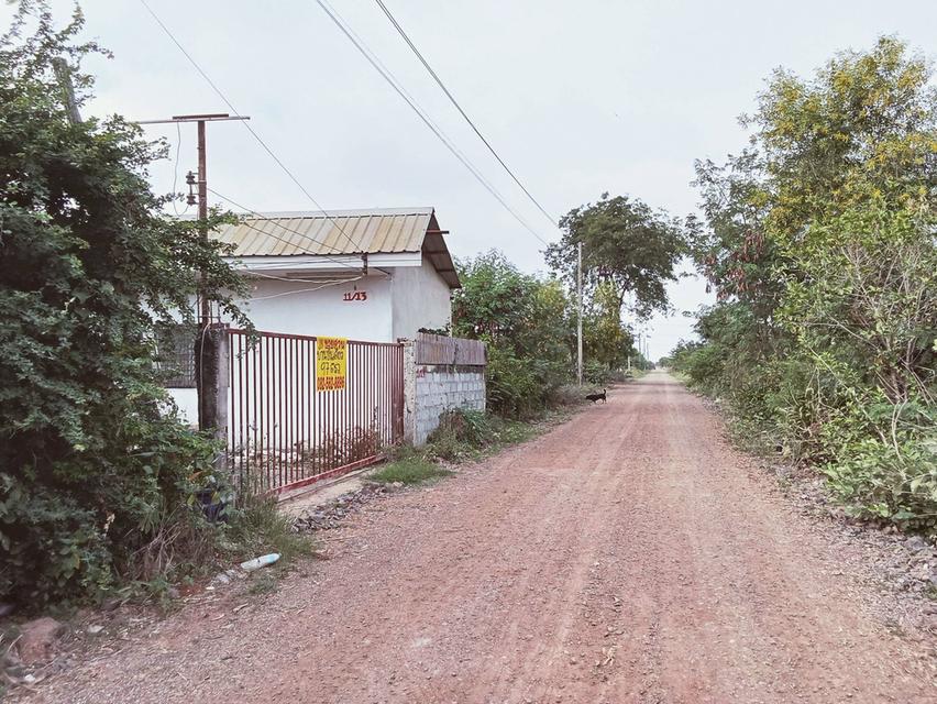 ขายบ้านชั้นเดียว ซอยเชียงรากน้อย 18/3 เชียงรากน้อย พระนครศรีอยุธยา 2