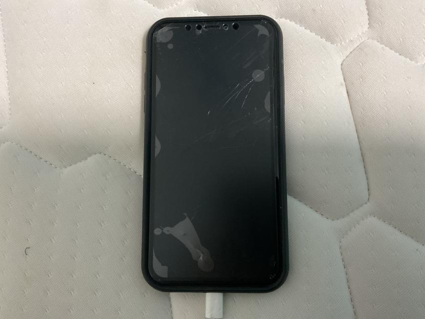 iPhone 11 256 gb 76% battery health Face id dont work 