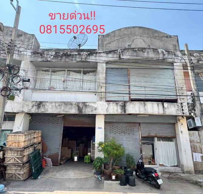 มินิแฟคตอรี่ขาย/เช่า 1