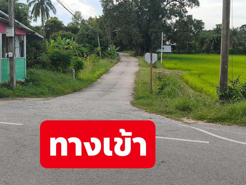 ขายที่ดินพร้อมตัวบ้านเก่า 4