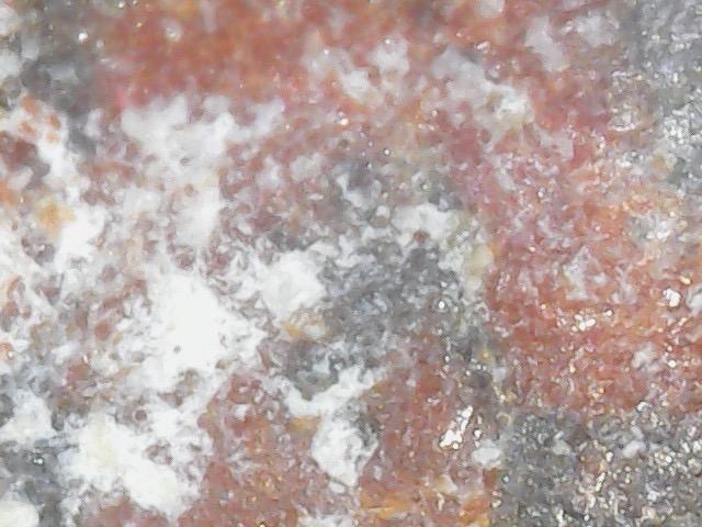 พระเครื่อง ชุดเบญจภาคี 7