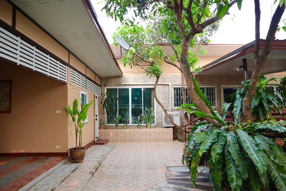 🏡ขายที่ดินแถมบ้านสวนใกล้ร.พ.สันทราย/กาดฝรั่ง/ม.แม่โจ้ เข้าเมืองไม่เกิน 20 นาที น้ำไม่ท่วม 8