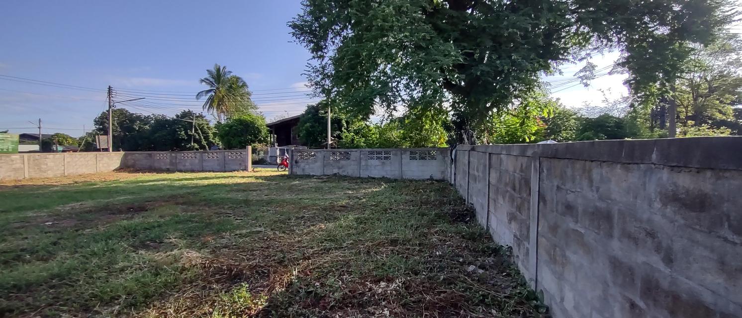 ที่สำหรับสร้างบ้าน 115ตรว 490,000อยู่บ้านนาแก้วตะวันออก ต.นาแส่ง อ.เกาะคา จ.ลำปาง วิวเขา วิวทุ่งนา อยู่กลางชุมชนห่างถนนพหลโยธิน 80เมตร ห่าง7-1 8