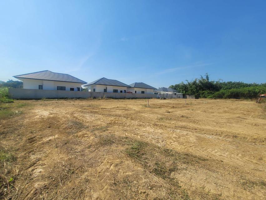 ที่ดินสวยท่ามะกา-บ้านโป่ง กาญจนบุรี ใกล้ทางด่วน M81 เข้ากรุงเทพแค่50นาที ซื้อเกรงกำไร หรือเป็นบ้านหลังที่ 2 น้ำไม่ท่วมแน่นอน 11