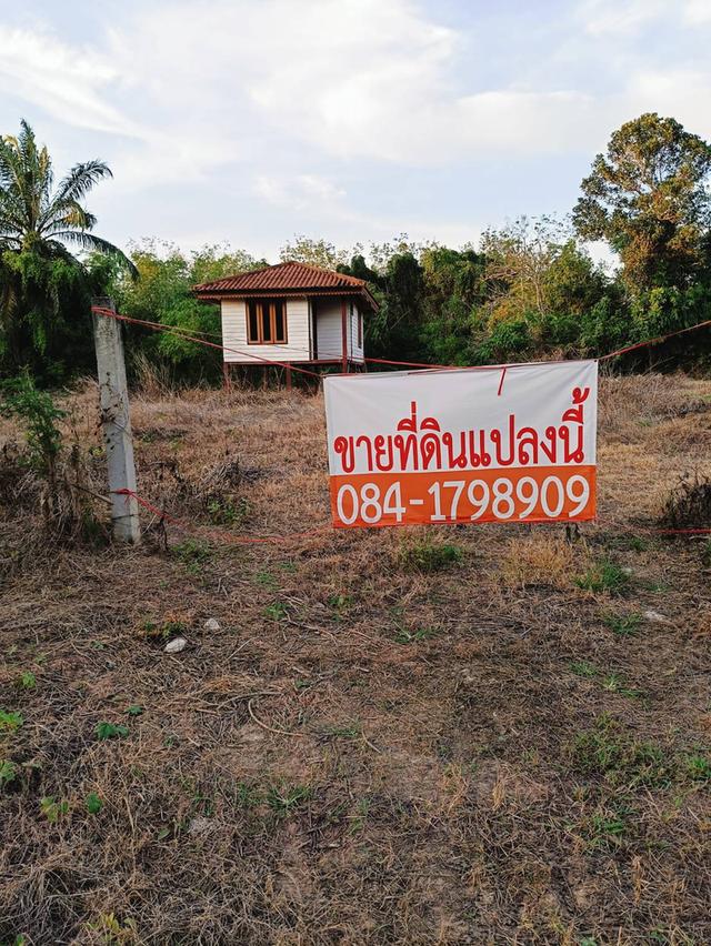 ที่ดินเปล่าถมแล้วขนาด1ไร่3งาน81ตร.ว. ที่ติดถนนใหญ่ ตรัง-สิเกา ห่างจากอำเภอเมืองตรัง 6กม. ด้านข้างติดคลองนา 5