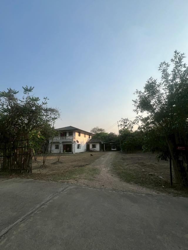 ขายบ้านพร้อมที่ดิน ในพื้นที่ 425 ตรว. จ.ลำพูน 6