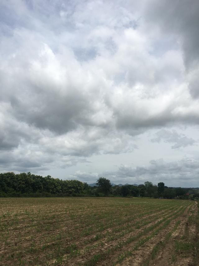 ขายที่ดินโฉนดเขาใหญ่ 7 ไร่ วิวสวย ทำเลศักยภาพสูง ใกล้ถนนหลวงหมายเลข 2235 และใกล้แหล่งท่องเที่ยว 3