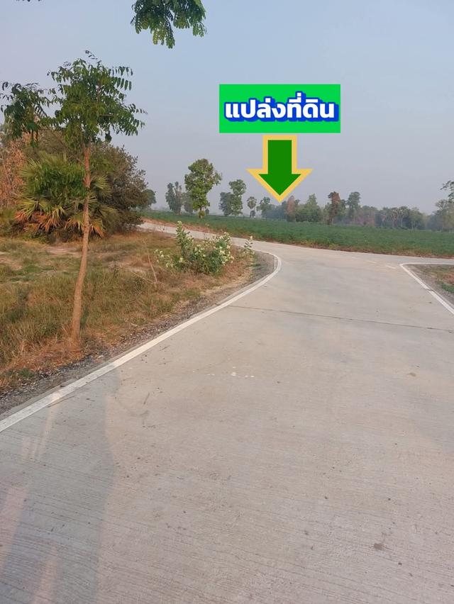 ขายที่ดินติดถนนคอนกรีตบ้านโนนตาลตำบลบึงอ้อ อำเภอขามทะเลสอจังหวัดนครราชสีมา