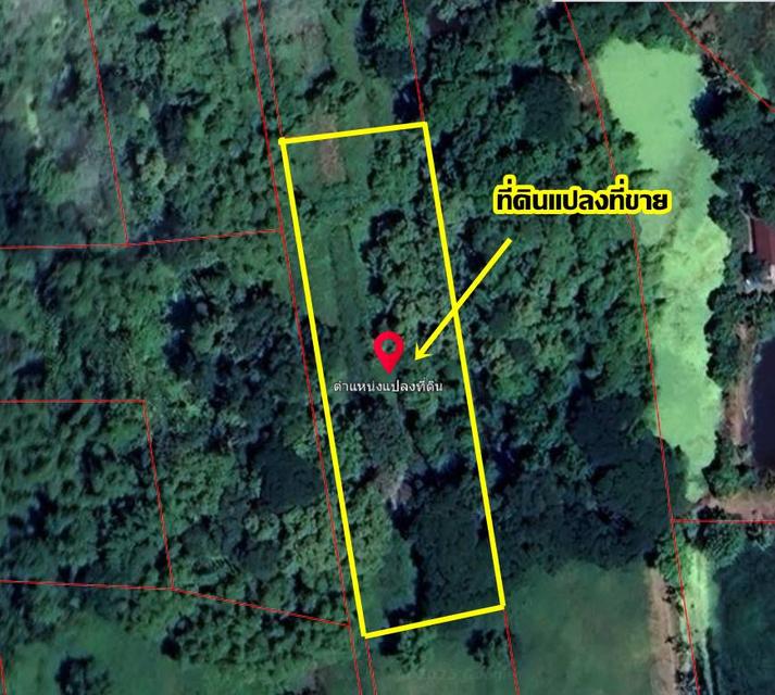 ขายที่ดินเปล่า ชุมชนสวนอ้อย ซอย3 หนองแค สระบุรี 5