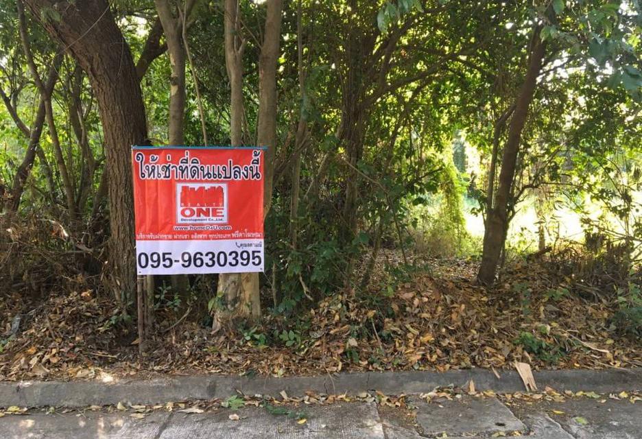 รูป ให้เช่าที่ดินเปล่า 219 ตร.ว แปลงมุม  ตลิ่งชัน กทม. 2