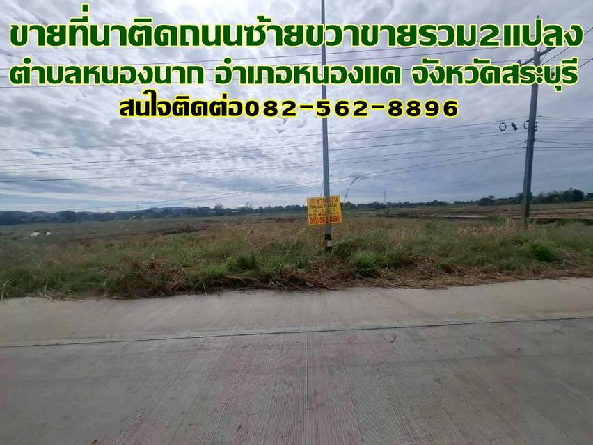 ขายที่นาติดถนนซ้ายขวาขายรวม2แปลง ใกล้วัดหนองนาก หนองแค สระบุรี 1
