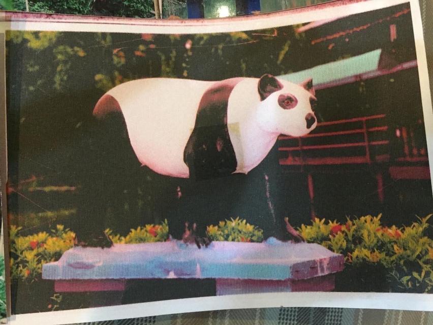 ที่ดินสวน น้ำรอบ สามพราน นครปฐม 11