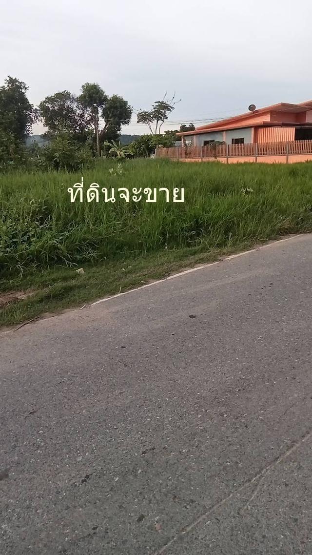 ขายที่ดิน 189 ตรว ต.ตาลเดี่ยว อ.แก่งคอย ห่างถนนแก่งคอยบ้านนา 1.3 กม ขาย7 แสนบาท 4