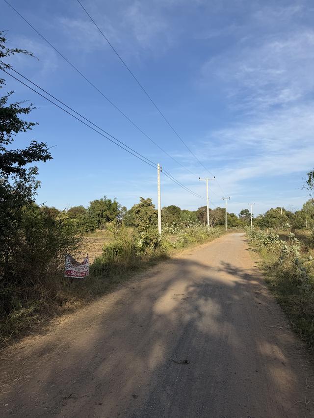 📍ขายที่นา 4ไร่ 3งาน 3.1ตารางวา หน้ากว้าง 40 เมตร 💵ราคา 1,600,000 น้ำไม่เคยท่วม มีไฟฟ้า น้ำปะปา  ติดถนน 9