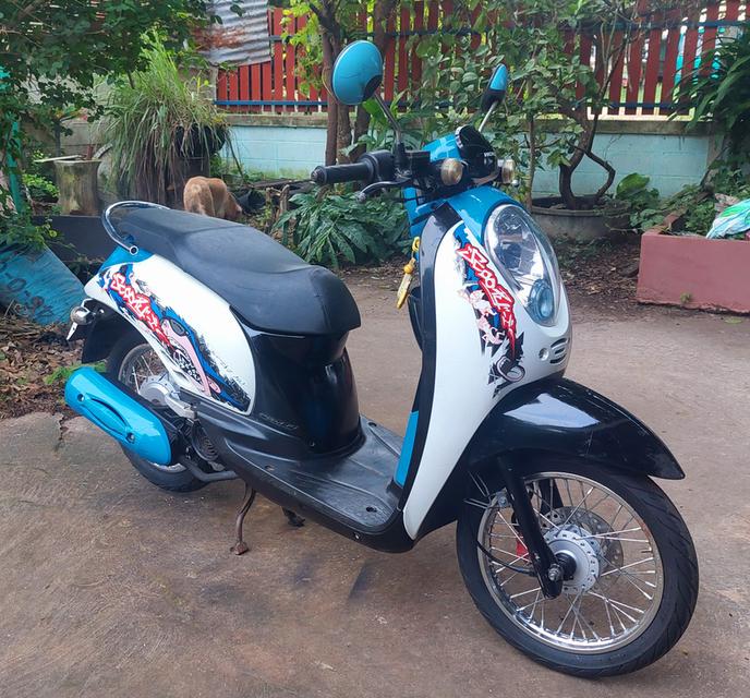 scoopy i ปี2010 5