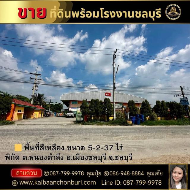 ขายที่ดินพร้อมโรงงาน ออฟฟิศ ต.หนองตำลึง จ.ชลบุรี ขายถูก หายากค่ะ 087-7999978 คุณปุ๋ย 086-9488884 คุณเต้ย