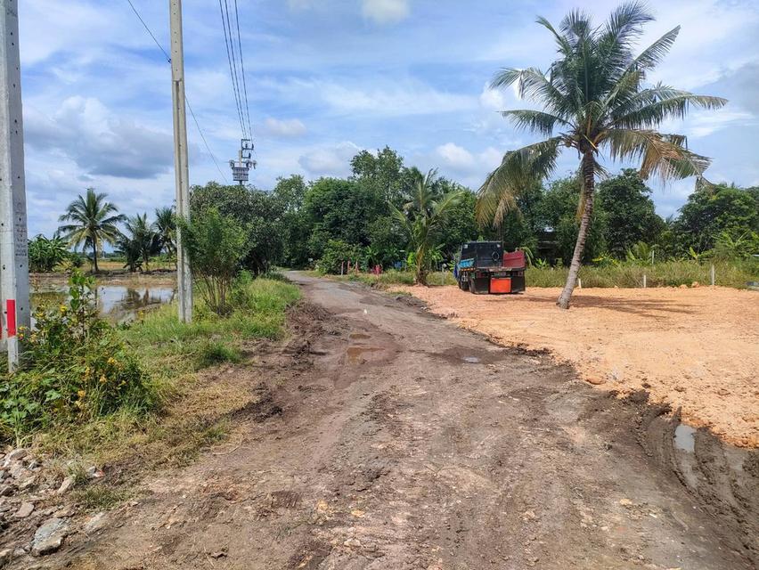 ขายที่ดินเปล่าในถนนร่วมพัฒนา เขตหนองจอก กรุงเทพมหานคร 13