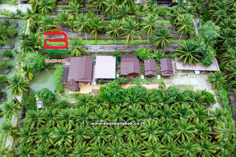 ที่ดินพร้อมสิ่งปลูกสร้าง เนื้อที่ 3-0-18 ตรว. ทำเลดี ใกล้ร้านกาแฟภพรัก ตำบลจอมปลวก อำเภอบางคณที จังหวัดสมุทรสงคราม 2