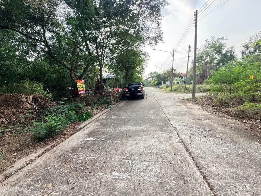 Vายที่ดิน 70 ตารางวา ติดถนนสาธารณะ ถมแล้ว หมู่บ้านสวนรีสอร์ท คลองห้าตะวันตก จ.ปทุมธานี 5