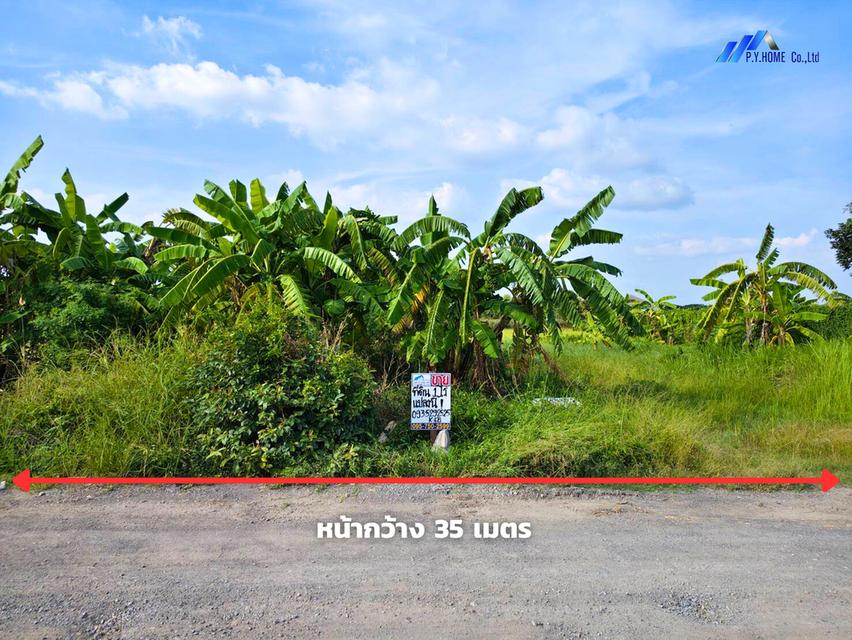 ขายที่ดินซอยคลองห้าตะวันตก 21 ปทุมธานี  3