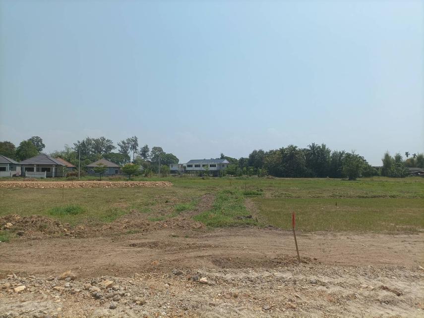 ขายที่ดิน 12,900บาท/ตร.ว. ต.สันปูเลย อ.ดอยสะเก็ด จ.เชียงใหม่ 1