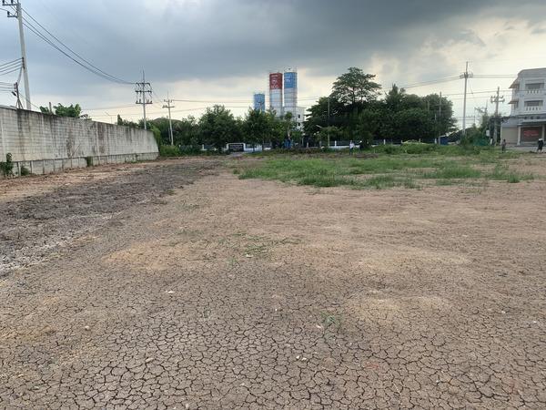 ประกาศให้เช่าที่ดินทำเลดี ตำบล รังสิต คลอง 7 อำเภอธัญบุรี ปทุมธานี ถนน ปท.3004 1