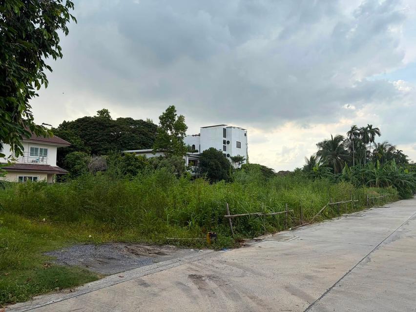 ขายที่ดินสุขุมวิท101 ปุณณวิถี39 ที่ดิน382ตร.ว ขาย 95,000/ตร.ว หน้ากว้างติดถนน 53ม. ใกล้รถไฟฟ้าBTSปุณณวิถี อุดมสุข เข้าออกได้ศรีนครินทร์ บางนา สุขุมวิท 6