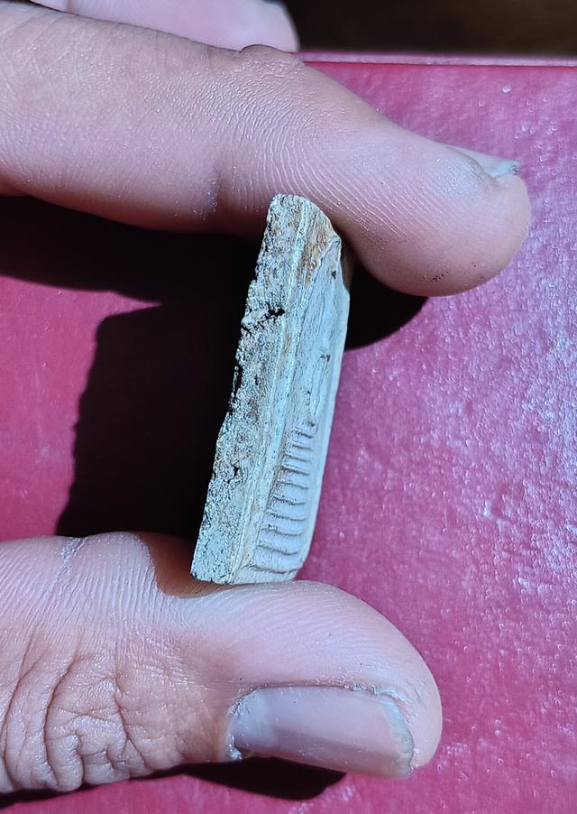 สมเด็จหลวงปู่ภู 8ชั้น แขนหักศอก 3