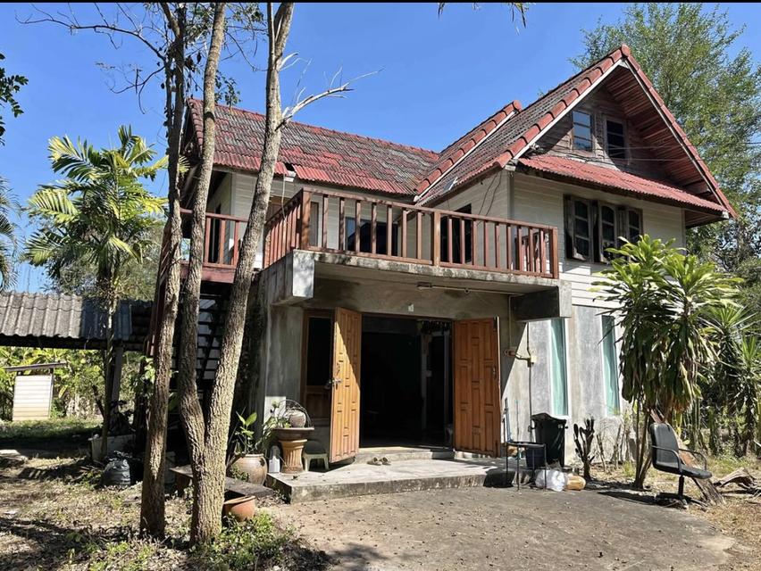 ที่ดินพร้อมสิ่งปลูกสร้าง 1