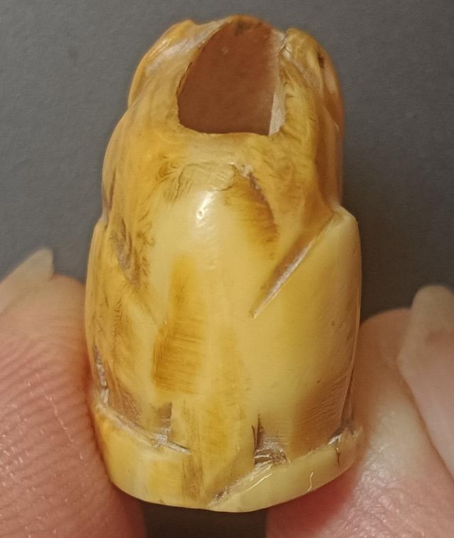 เสือหลวงพ่อปาน วัดบางเหี้ย 4