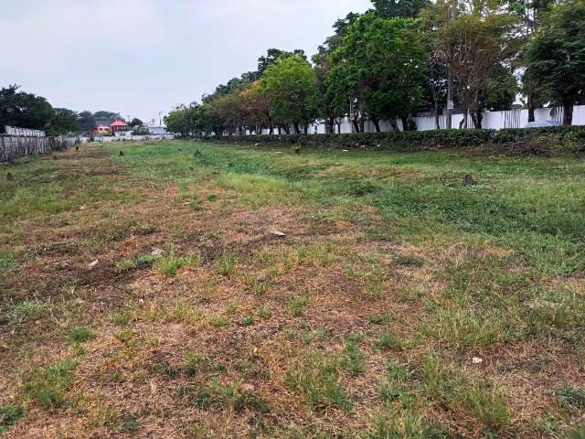 ขายที่ดินจัดสรรทำเล วัชรพล ตร.วาละ 55,000 บาท 2