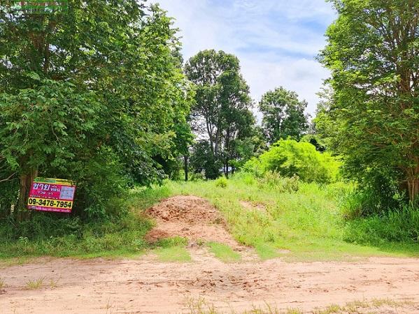 ที่ดินแปลงสวยสำหรับบ้านสวน สไตล์ธรรมชาติ ใกล้บึงน้ำ (มีน้ำตลอดปี) อ.พระยืน จ.ขอนแก่น 2