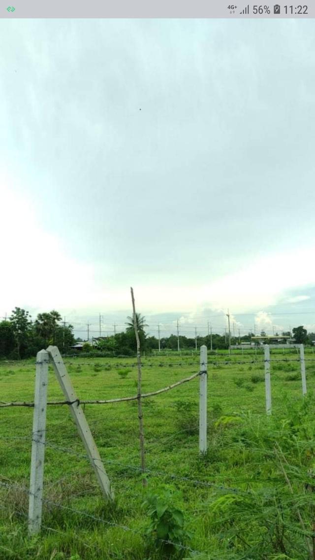 ขายที่ดินเปล่าถมแล้วจำนวน 4 ไร่ ต.เขาขลุง อ.บ้านโป่ง จ. ราชบุรี ห่างถนนใหญ่ 40 เมตร(ถนนกำลังขยาย 4 เลน) 3