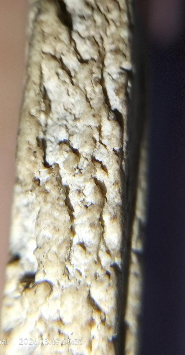 พระสมเด็จวัดระฆังพิมพ์อกกระบอกเล็ก รูปที่ 10