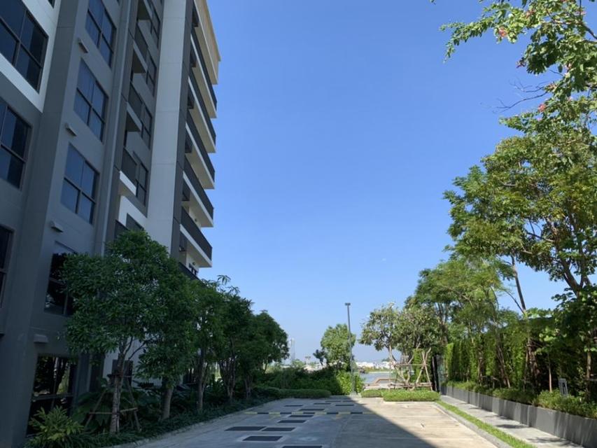 ขายคอนโด เดอะ โพลิแทน บรีซ ชั้น 7 อาคาร B วิวฝั่งแม่น้ำ ใกล้รถไฟฟ้า MRT สถานีพระนั่งเกล้า 18