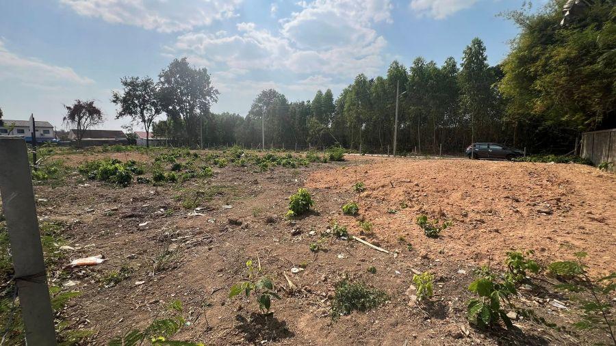 ขายที่ดินทำเลศักยภาพ พัทยา หนองปรือ ชลบุรี 1-2-70 ไร่ 6