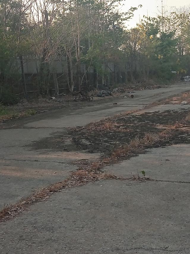 ขายที่ดิน6ไร่ติดถนนนิมิตรใหม่ คลองสามวา 11