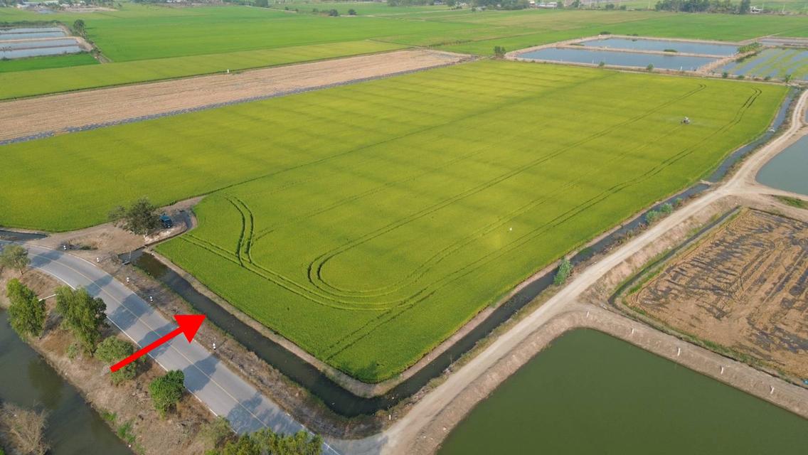 ที่ดิน เนื้อที่15ไร่60ตารางวา 3