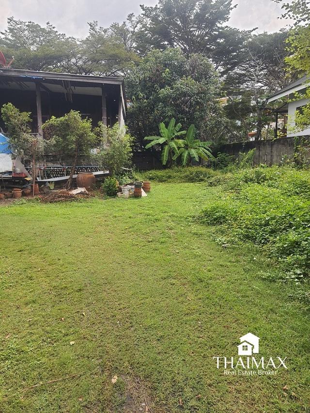 ขายที่ดิน 200 ตรว. ถนนหมื่นด้ามพร้าคต ทำเลกลางเมืองเชียงใหม่ ใกล้ ม.ราชภัฏฯ  และตลาดธานินทร์ 3