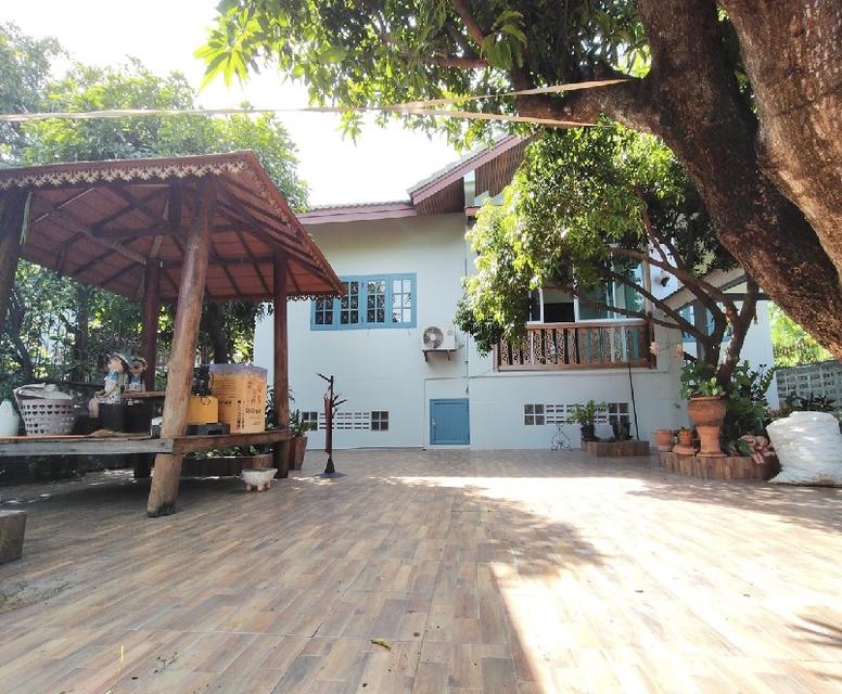 ให้เช่าบ้านเดี่ยว 2 ชั้น หลังใหญ่ 99 ตารางวา / ทำเล ลาดพร้าว โชคชัย 4 / อยู่ในซอยสตรีวิทยา 2 3