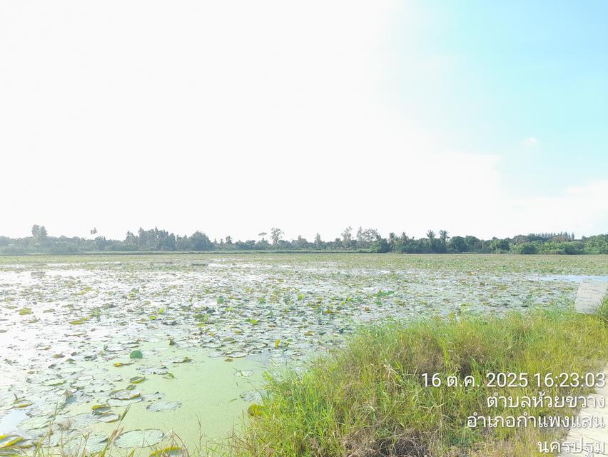 บ้านสวยหน้าอยู่ ทำเลดี 7