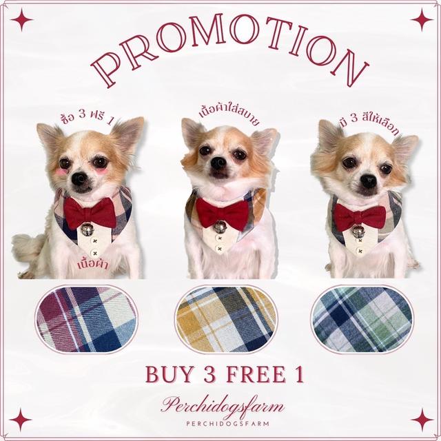 หมา ปลอกคอหมา 3เเถม1 คละเเบบได้ 6