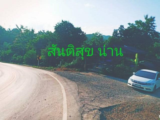 ตุนทรัพย์เก็บขายเก็งกำไร ขายที่ดินติดลำธารน้ำใสไหลริน ชุ่มฉ่ำตลอดปี สวยวิวล้าน 800000บาท 3-0-35ไร่ อำเภอสันติสุข น่าน 2